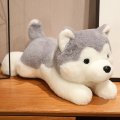 Miniatura Pluszowy Husky 40 cm