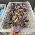 Miniatura Naturalne Rekodzielo Z Ametystu Drzewko Driady